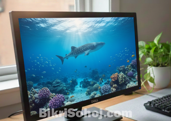 Dell e2211h 1080p FHD monitor.